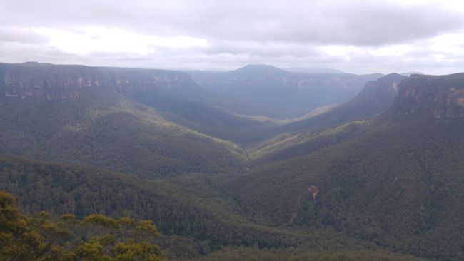 Blue Mountains - Hiking in the Fog