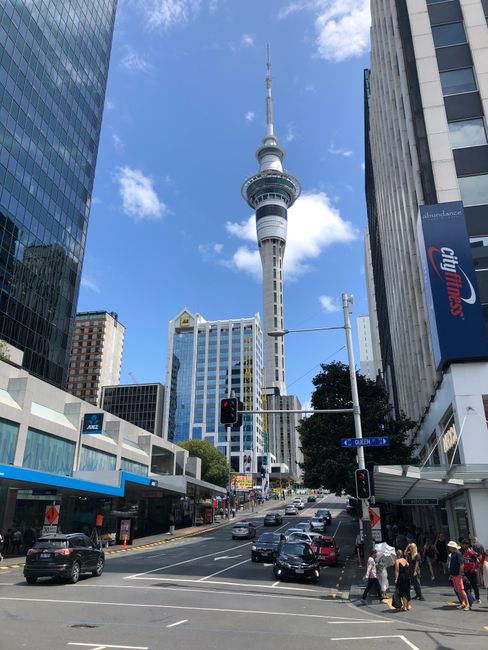 1. Auckland-City-Eindrücke