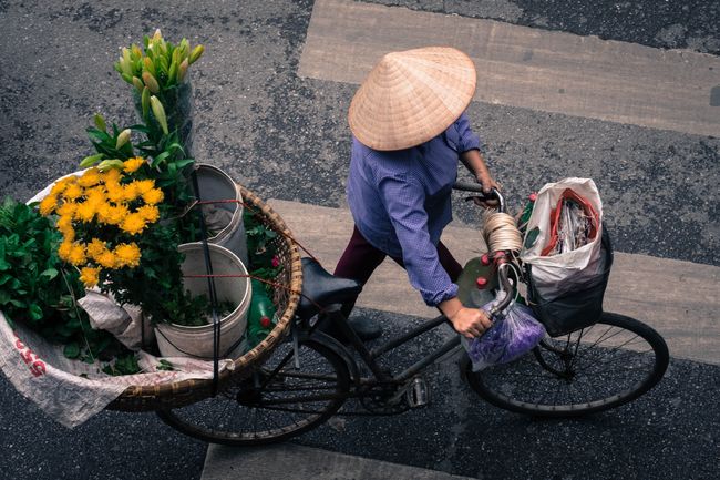 In Sapa angebaute Blumen begegnen uns in Hanois Straßen erneut.