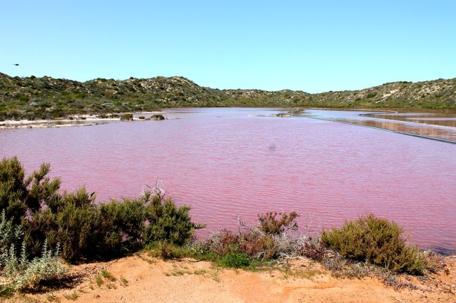 02.09.2015 Port Gregory Beach and Pink Lake