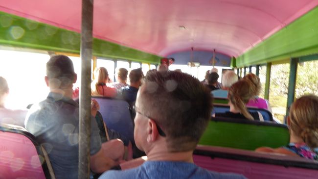 Busfahrt im Flamingo-Bus..
