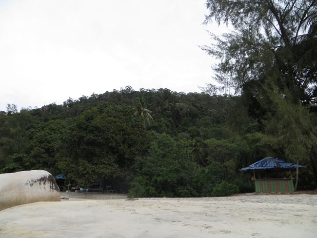 Penang 2. dan: Vrt začina i plaža majmuna