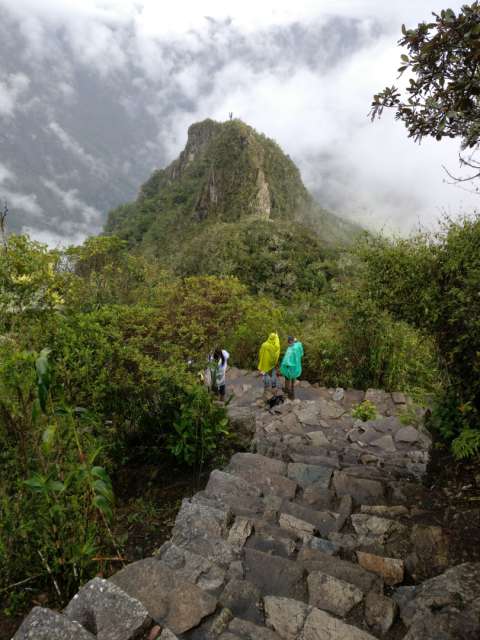 Trail to Machu Picchu Mountain 3