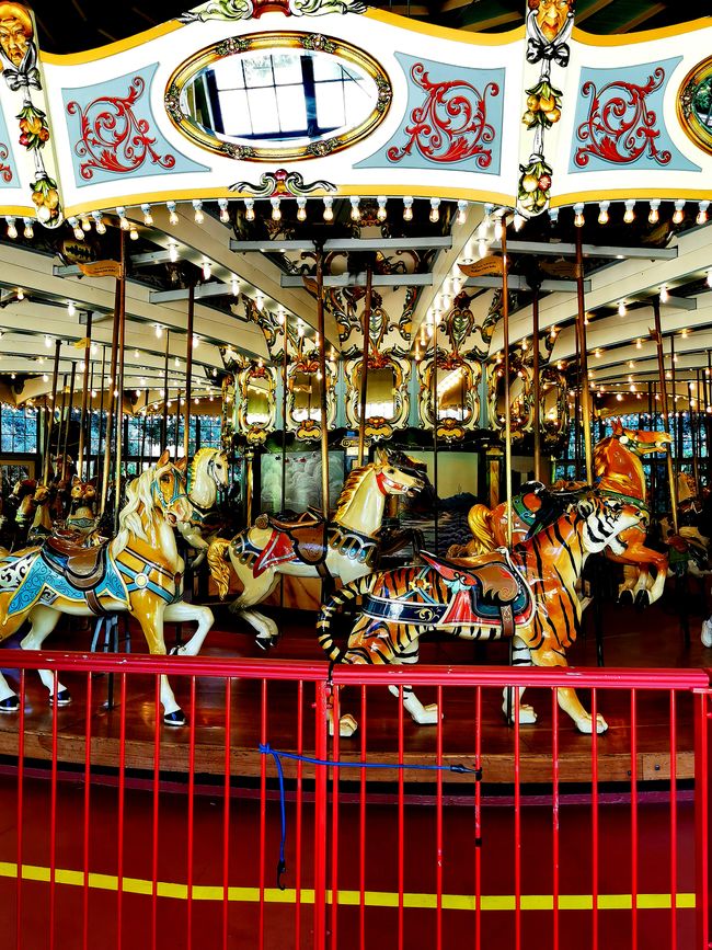 Carousel in the zoo