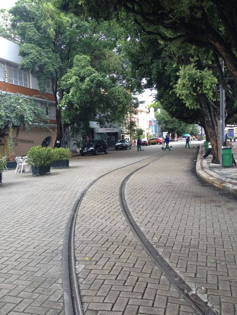 Brasilien: Manaus