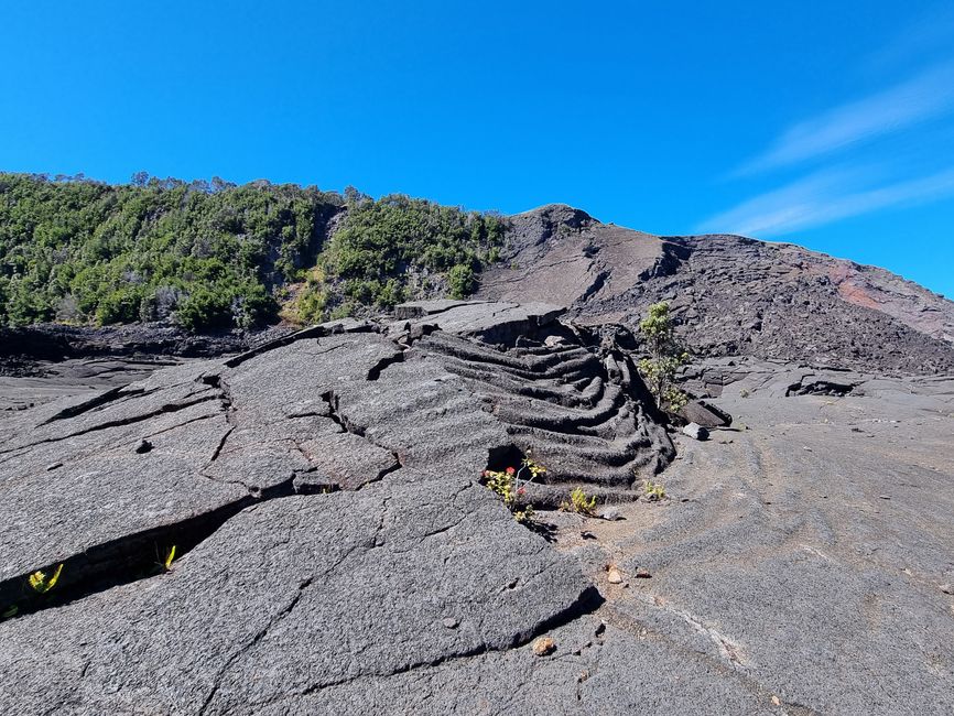 Hawaii 2022 - Teil 1: Big Island