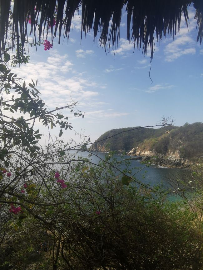 'Puerto Angel' - Mexican Island Dream