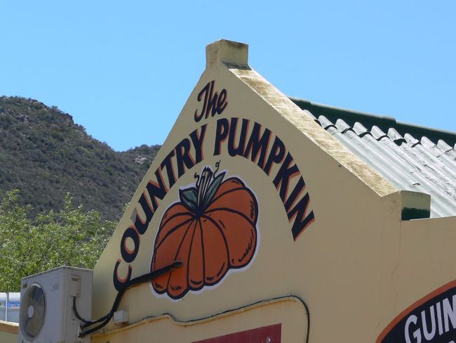 The Country Pumpkin