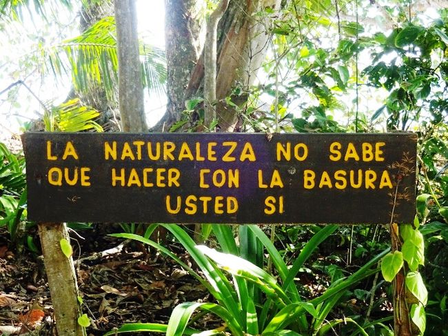 12.01.2018 - Cahuita National Park
