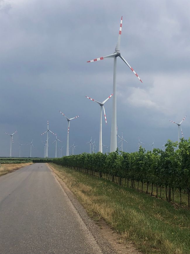 Windpark im Burgenland