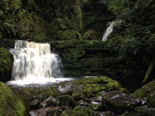 McLean Falls - der größte Wasserfall in den Catlins