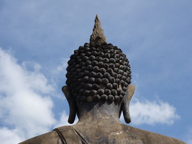 Buddha has hair loss: Sukhothai, Wat Mahathat