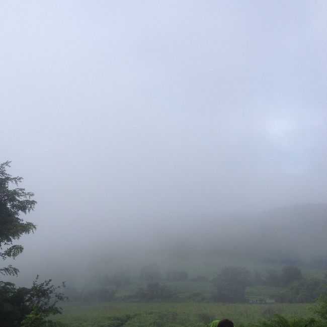 Raus aus dem Nebel
