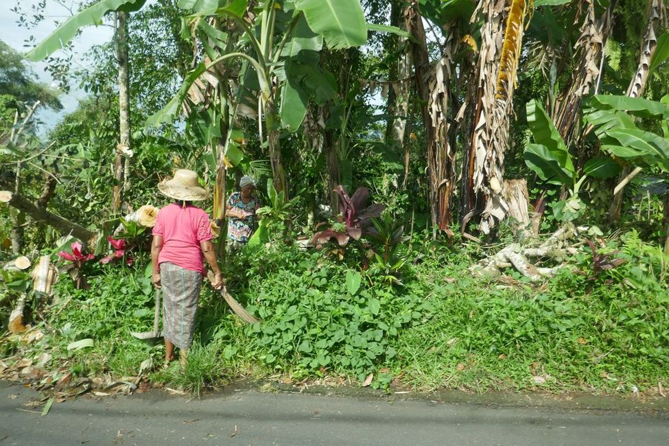 You can see farmers working everywhere along the road