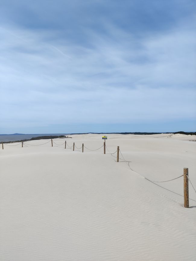 Wandering Dune