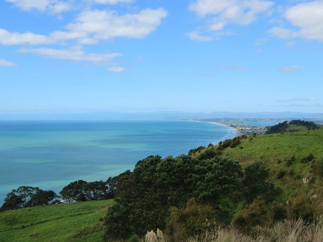 View of Ohope