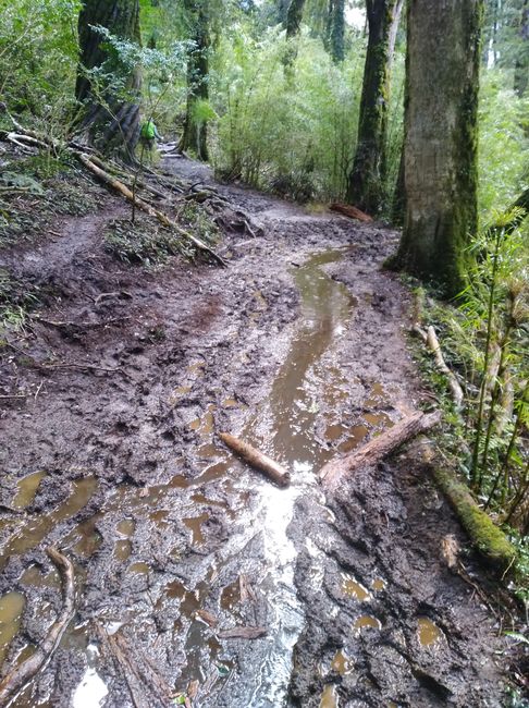 Mud on the trail
