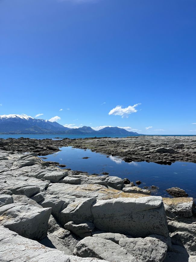 23.10.2023 – Neuseeland: Auf den Spuren von James Cook