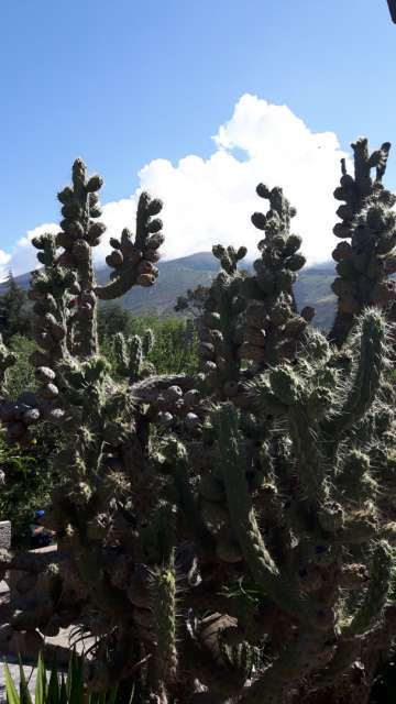 La Mitad del Mundo