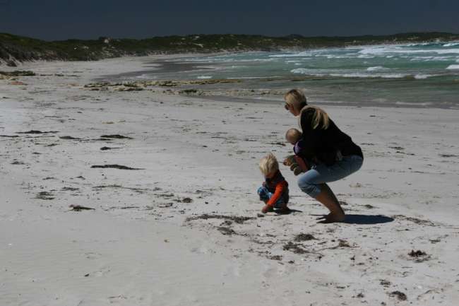 Day 35: Kangaroo Island (Flinders Chase National Park / Remarkable Rocks & Admirals Arch - Vivonne Bay - Hanson Bay)