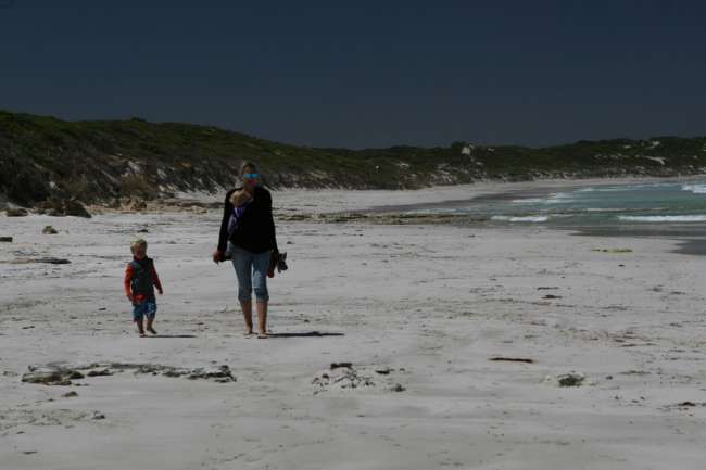 Day 35: Kangaroo Island (Flinders Chase National Park / Remarkable Rocks & Admirals Arch - Vivonne Bay - Hanson Bay)