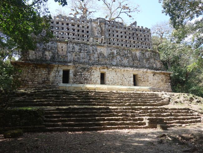 Der wichtigste und schönste Tempel in Yaxchilán. Man beachte den fast perfekt erhaltenen Kamm an Dach.