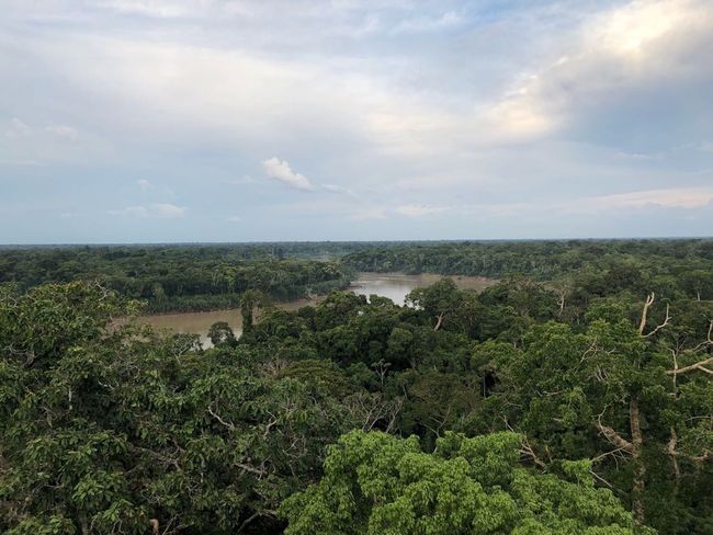 Amazonas, Puerto Maldonado