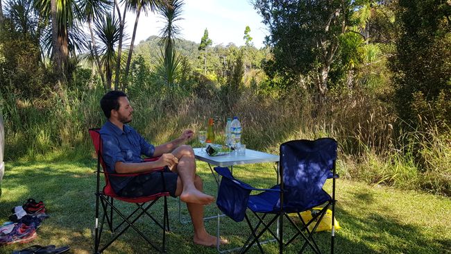 Day 3: Ruakaka - Waipoua Forest