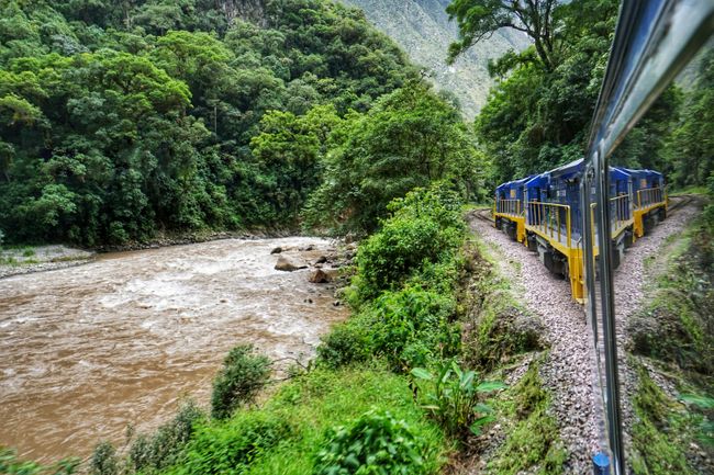 A picturesque train ride through the increasingly dense vegetation