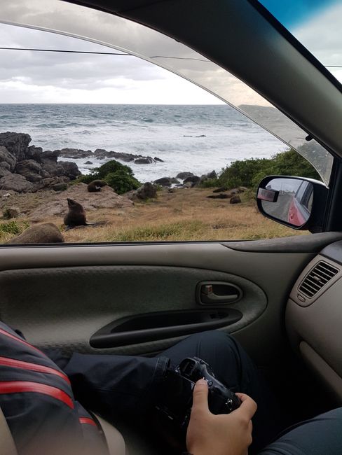 28/12/2017 - Cape Palliser - southernmost point of the North Island of New Zealand