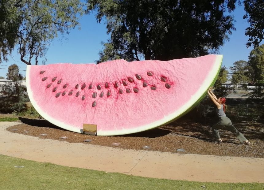 In Chinchilla werden 25% von Australiens Wassermelonen produziert