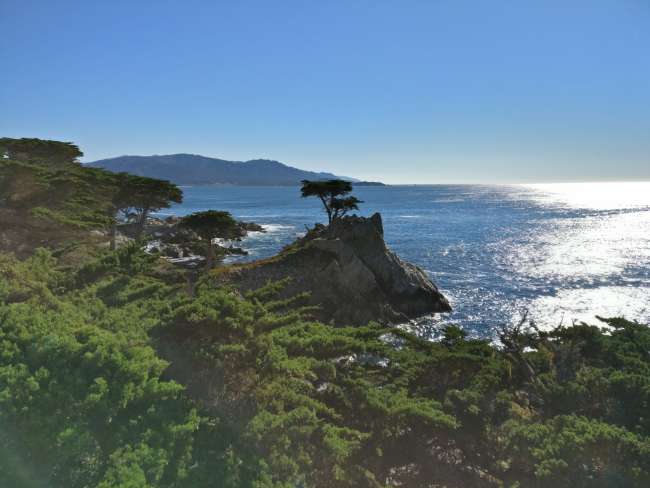 17 Mile Drive in Monterey 5