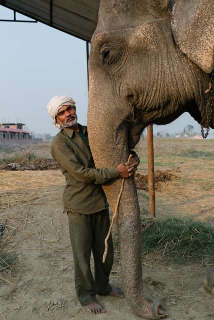 Mahout mit seinem Elefanten