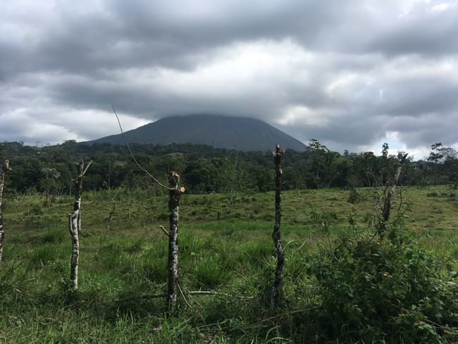 Vulkan Arenal - leider immer chli mit Nebeñ bedeckt