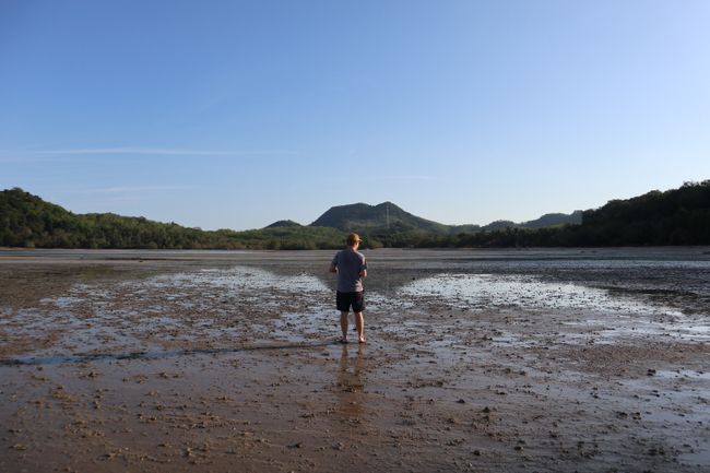 Walking in the mudflats.