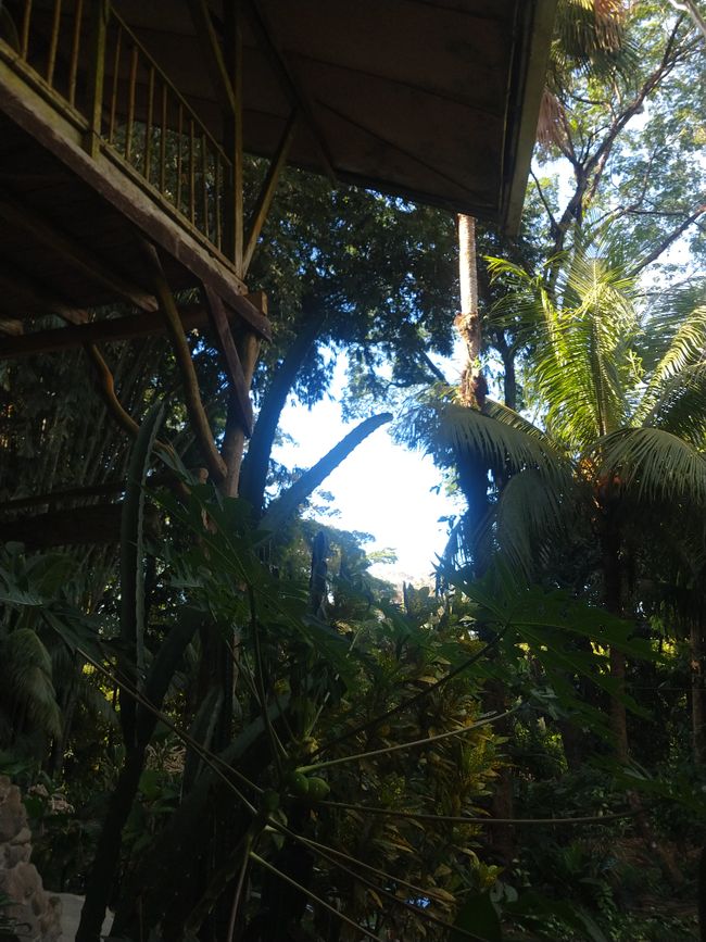 Cascada Verde: Dschungel - Camp in Uvita