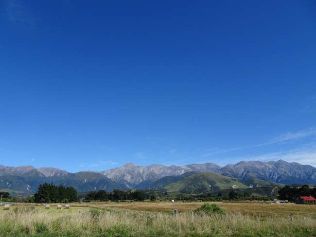 View from the campsite in Kaikoura