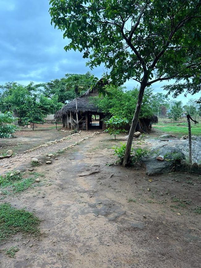 Farm accommodation