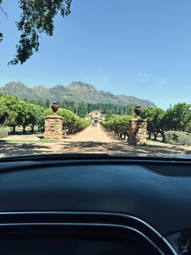 Stellenbosch 