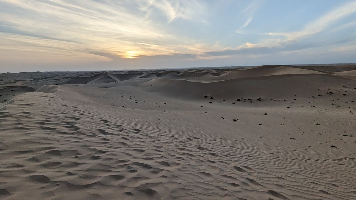 Day 11 (2023) Abu Dhabi: BBQ in the desert & climbing the highest dune!