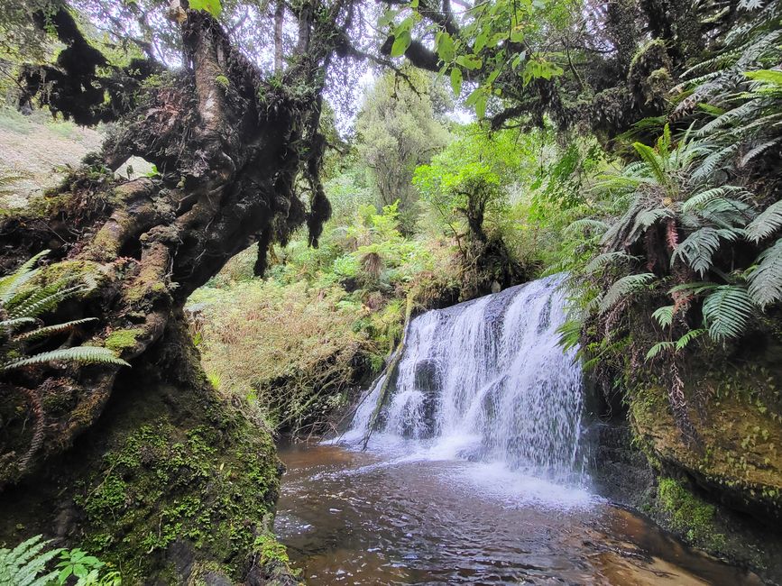 Der Waipohatu Wasserfall