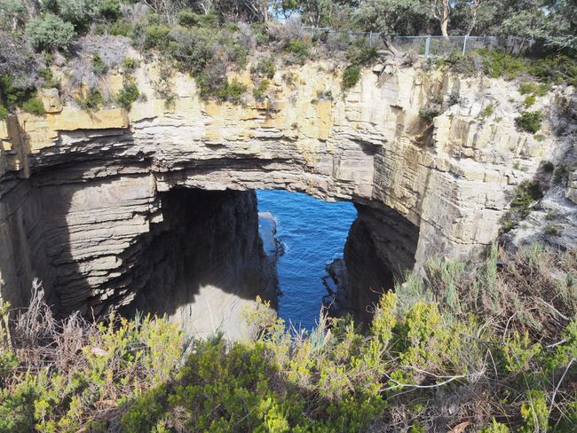 Tasman Arch