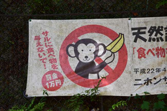Affen füttern verboten! Strafe 10.000 Yen