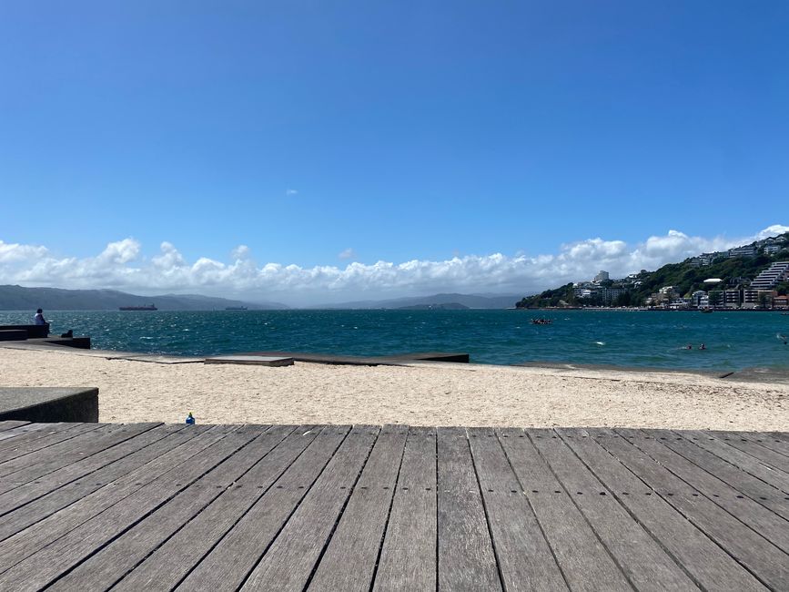 Oriental Beach in Wellington