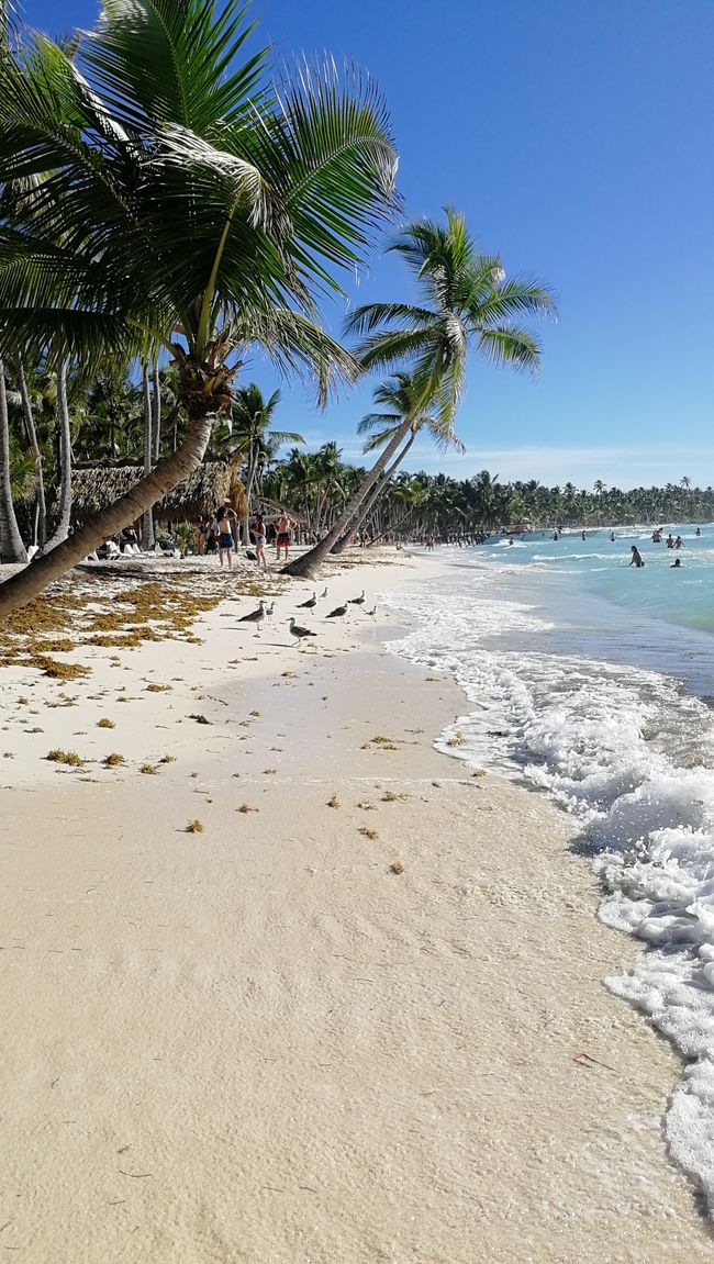 La Isla Saona - Dominikanska republiken