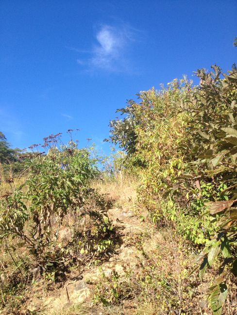 El Salvador: Joy