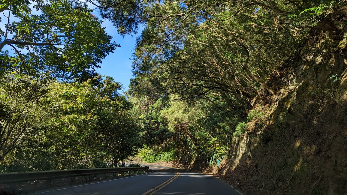 Day 05 Maui - Road to Hana