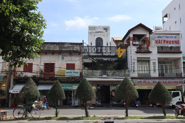 Bäume im Vietnamhut-Style.