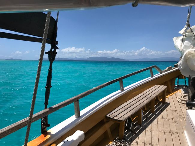 Excursion to the Great Barrier Reef