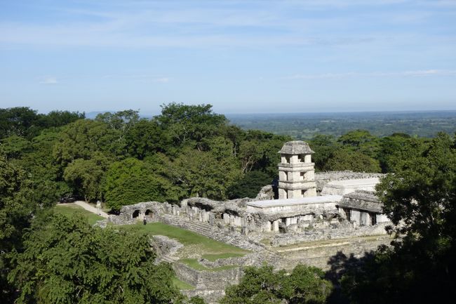 Palenque - Maya ruins in the jungle
